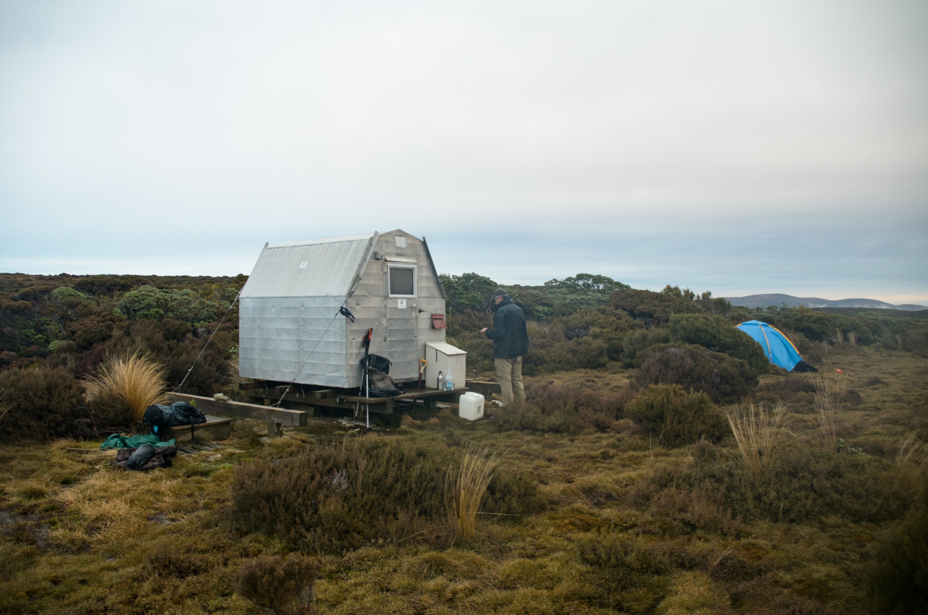DSC_2758 – Adventure, Crispin, Hut, Island, March 2017, National Park, New, New Zealand, Rakiura, South, Stewart, Zealand, doc, fancy, kennel, secret, wolfie